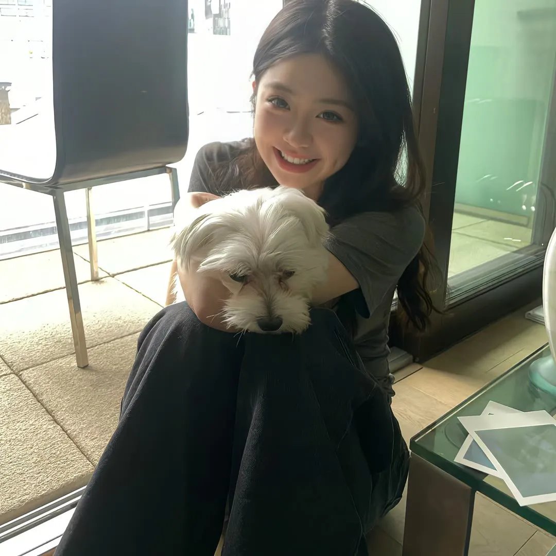 柠檬仙丹